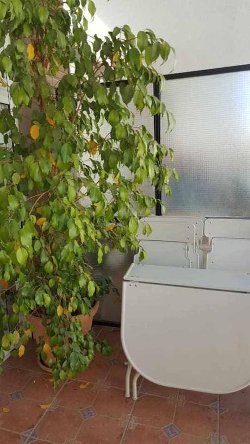 Luxe Castelar 19 Appartement